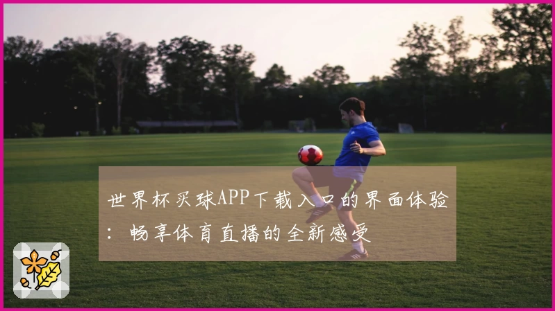 世界杯买球APP下载入口的界面体验：畅享体育直播的全新感受