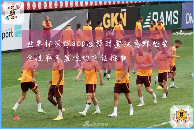 世界杯买球app选择时要注意哪些安全性和可靠性的评估标准