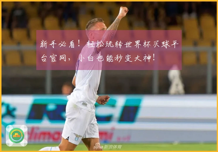 新手必看！轻松玩转世界杯买球平台官网，小白也能秒变大神！