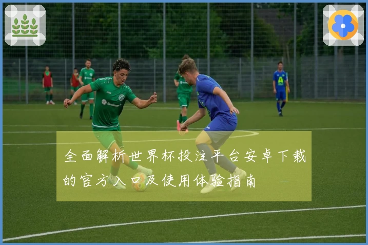 全面解析世界杯投注平台安卓下载的官方入口及使用体验指南