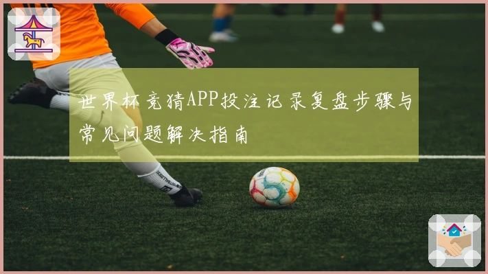 世界杯竞猜APP投注记录复盘步骤与常见问题解决指南