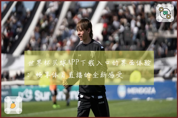 世界杯买球APP下载入口的界面体验：畅享体育直播的全新感受