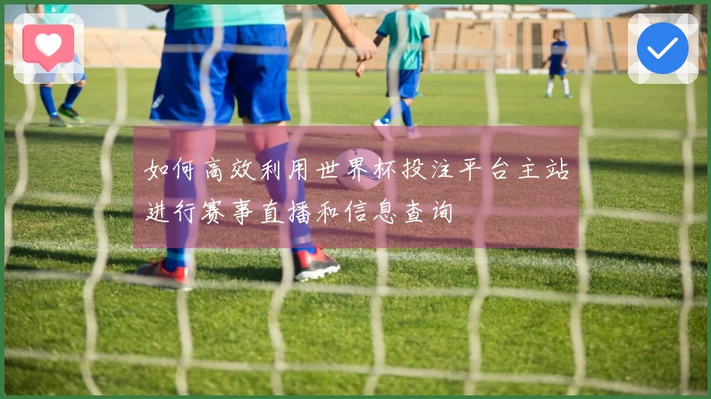 如何高效利用世界杯投注平台主站进行赛事直播和信息查询