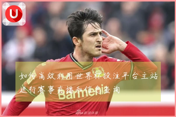 如何高效利用世界杯投注平台主站进行赛事直播和信息查询
