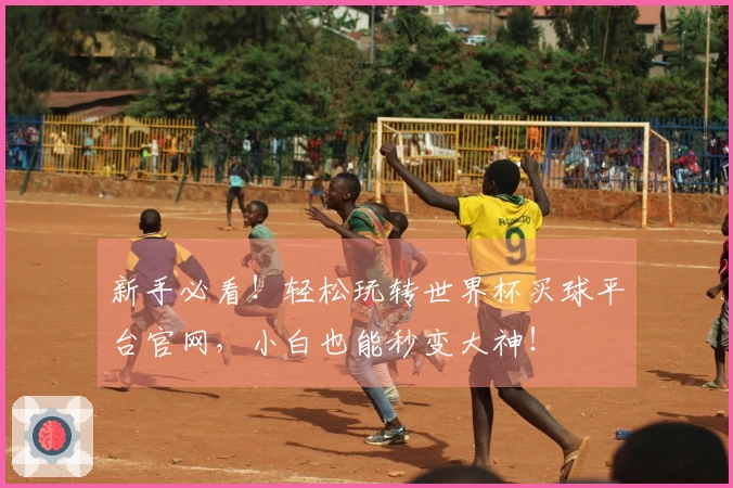新手必看！轻松玩转世界杯买球平台官网，小白也能秒变大神！