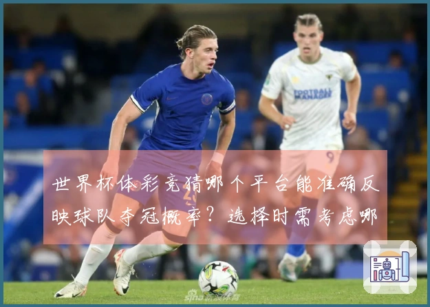世界杯体彩竞猜哪个平台能准确反映球队夺冠概率？选择时需考虑哪些因素？