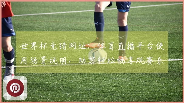 世界杯竞猜网址:体育直播平台使用场景说明,助您轻松畅享观赛乐趣